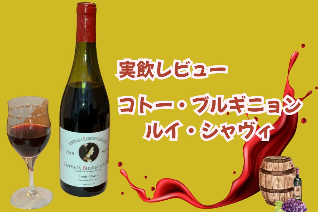 「コトー・ブルギニョン・ルイ・シャヴィ」を飲んでみた！ 味は？ 特徴は？ 実飲レビューします！
